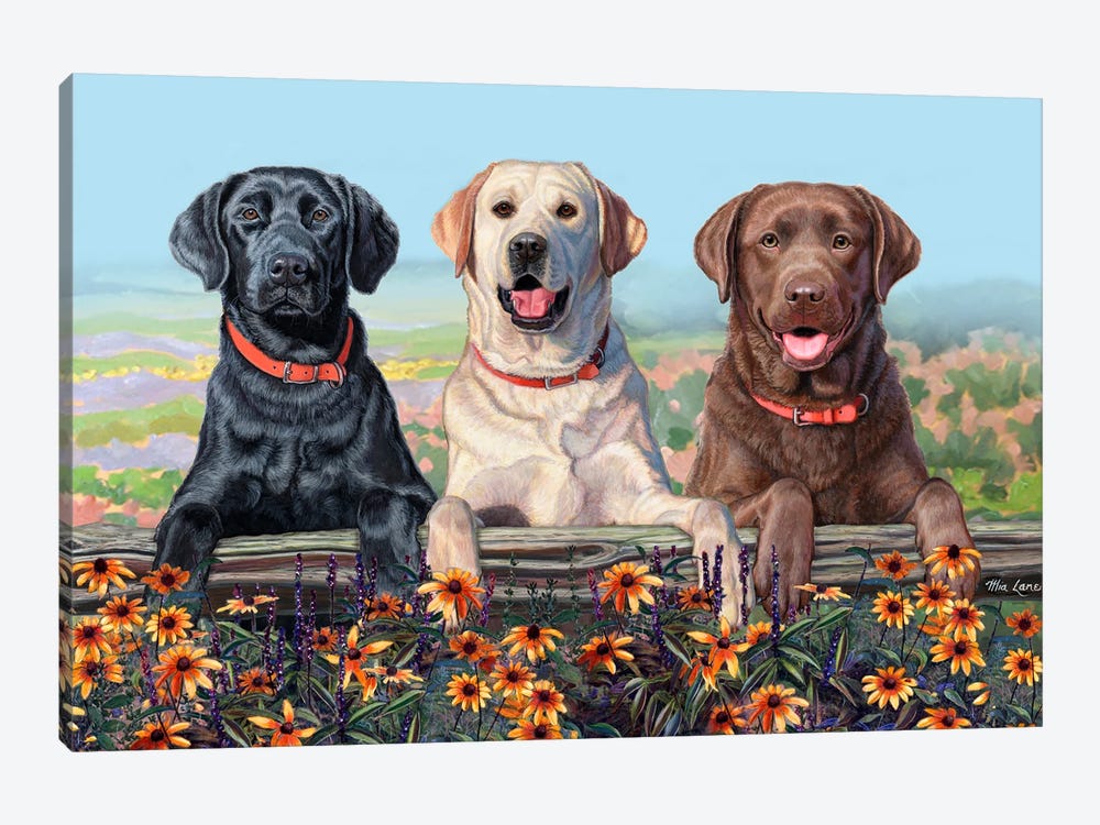 Two Paws Up- Three Labs Over Flowers by Mia Lane 1-piece Canvas Wall Art