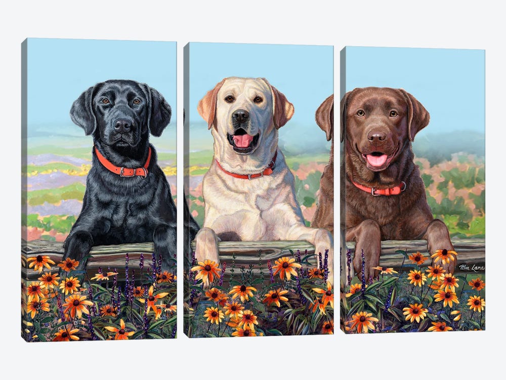 Two Paws Up- Three Labs Over Flowers by Mia Lane 3-piece Canvas Wall Art