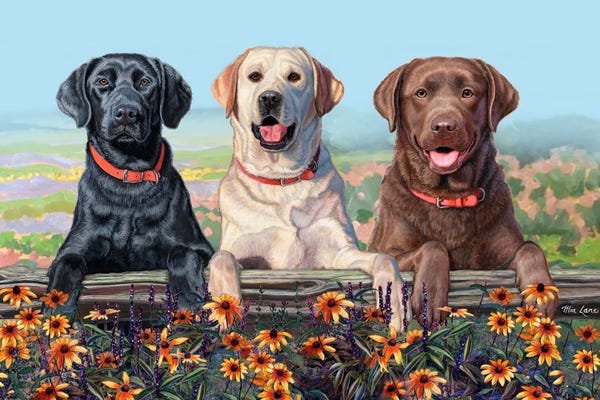Labrador Retrievers: Two Paws Up- Three Labs Over Flowers by Mia Lane