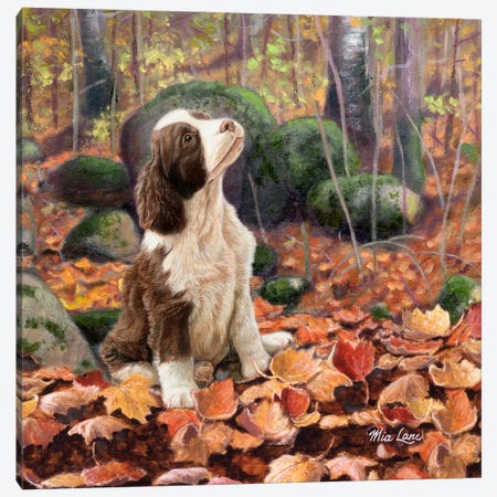 Waiting-Spaniel Pup Canvas Print #WML53} by Mia Lane Art Print