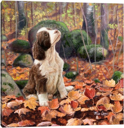 Waiting-Spaniel Pup Canvas Art Print - Mia Lane