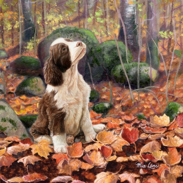 Spaniels: Waiting-Spaniel Pup by Mia Lane