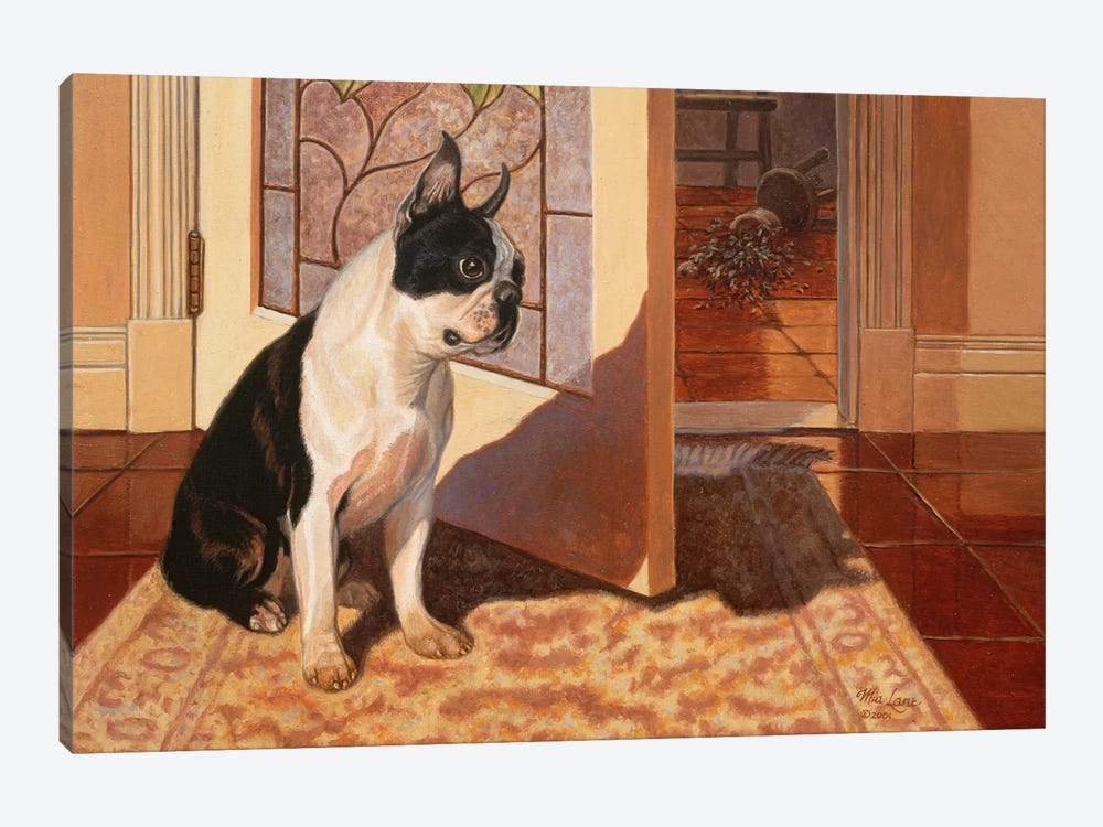 Wasn't Me-Boston Terrier by Mia Lane 1-piece Canvas Wall Art
