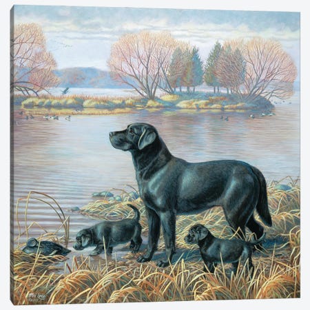 What A Find-Black Labs Canvas Print #WML56} by Mia Lane Canvas Wall Art