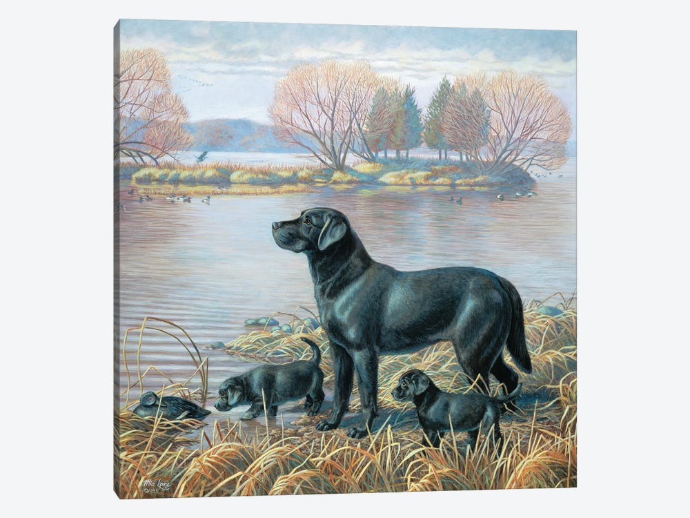 What A Find-Black Labs by Mia Lane 1-piece Canvas Artwork