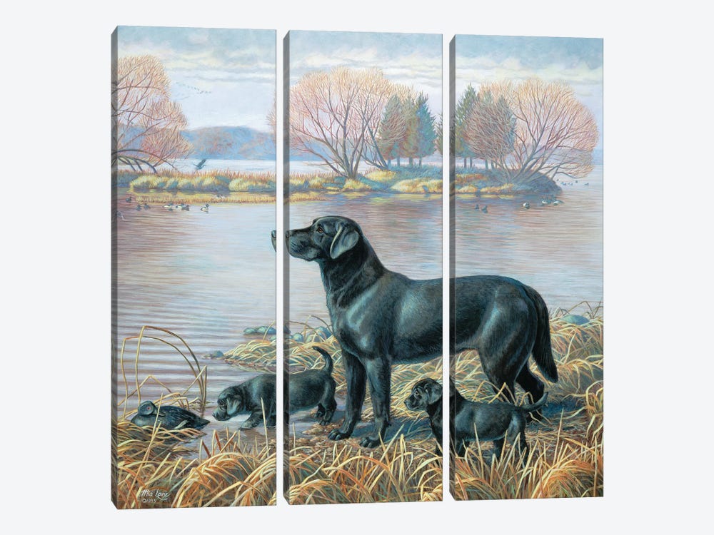 What A Find-Black Labs by Mia Lane 3-piece Canvas Wall Art