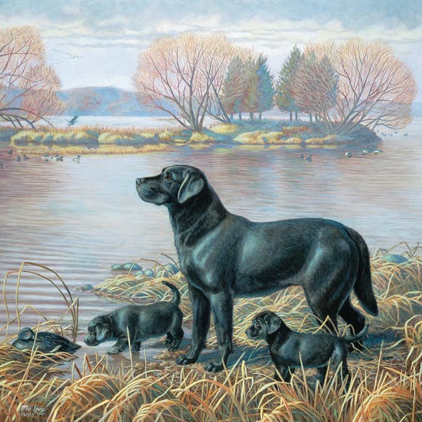 Grandpa Chic: What A Find-Black Labs by Mia Lane