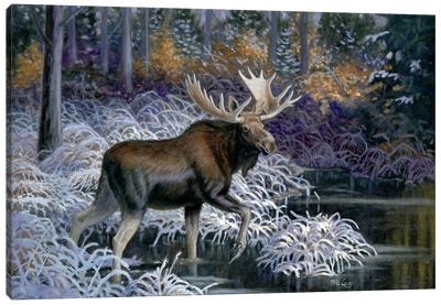 Winter Begins Canvas Art Print - Moose Art