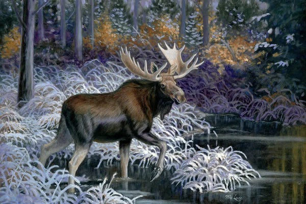 Rustic Winter: Winter Begins by Mia Lane