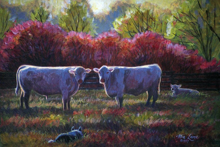 Border Collie And Charlaise by Mia Lane wall art