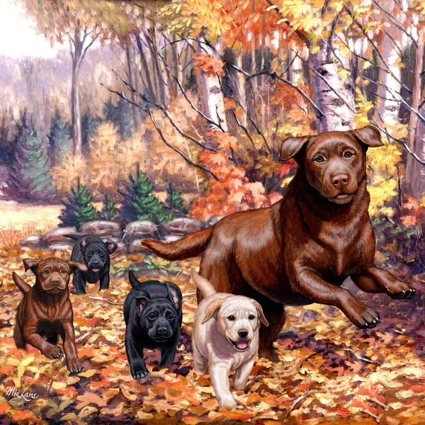 Labrador Retrievers: Bounding Home by Mia Lane