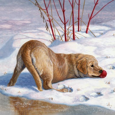 Butt, It's Mine by Mia Lane framed canvas print