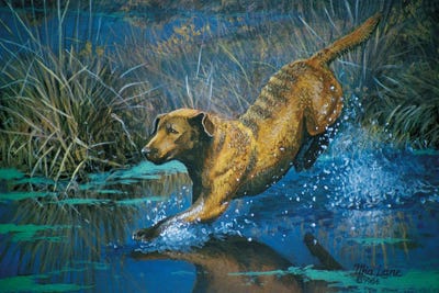 Chessy Jumping by Mia Lane framed canvas print