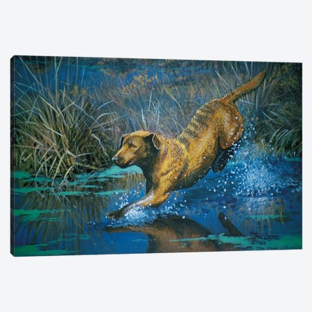 Chessy Jumping Canvas Print #WML8} by Mia Lane Canvas Wall Art