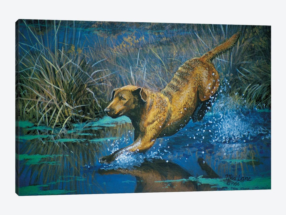 Chessy Jumping by Mia Lane 1-piece Canvas Artwork