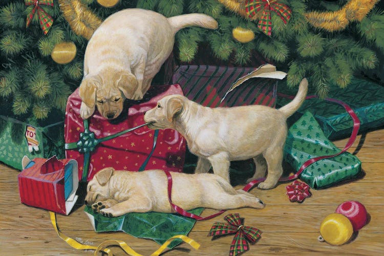 Christmas Surprise-Yellow Labs