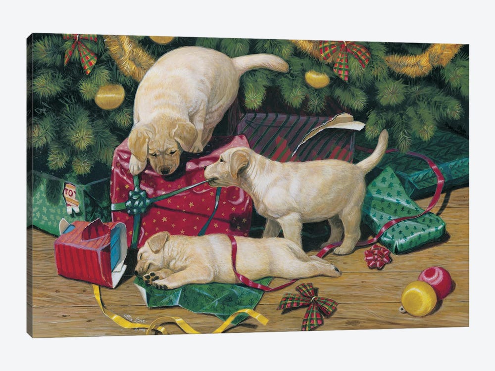 Christmas Surprise-Yellow Labs by Mia Lane 1-piece Art Print