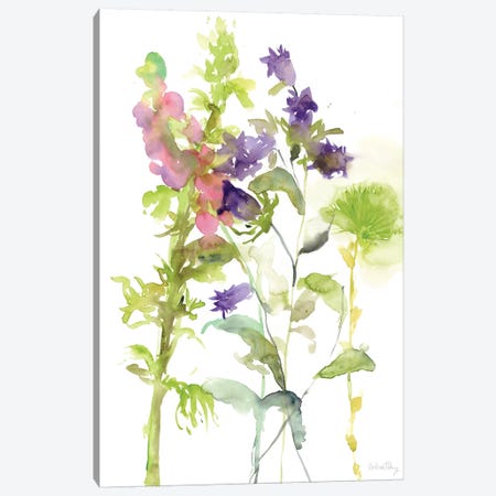 Watercolor Floral Study I Canvas Print #WNG102} by Melissa Wang Canvas Art Print