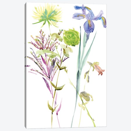 Watercolor Floral Study II Canvas Print #WNG103} by Melissa Wang Canvas Art Print