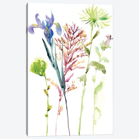 Watercolor Floral Study III Canvas Print #WNG104} by Melissa Wang Canvas Artwork
