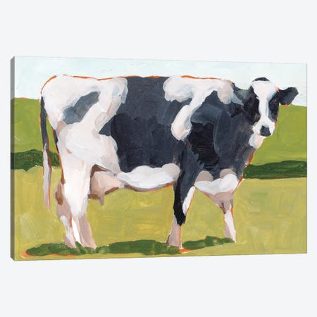 Cow Portrait I Canvas Print #WNG1093} by Melissa Wang Canvas Art Print