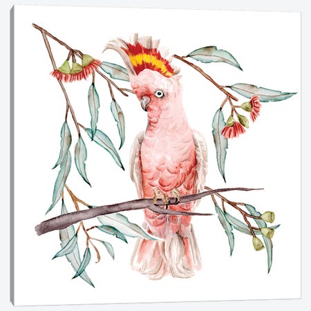 Pink Cockatoo I Canvas Print #WNG1139} by Melissa Wang Canvas Wall Art