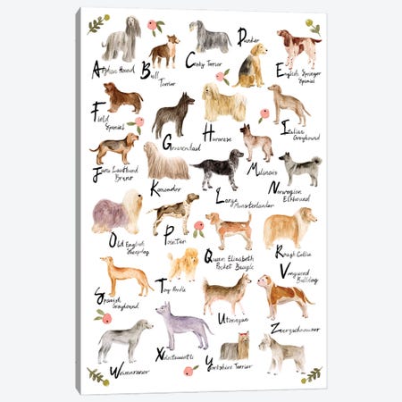 Dog Alphabet Canvas Print #WNG1194} by Melissa Wang Canvas Print