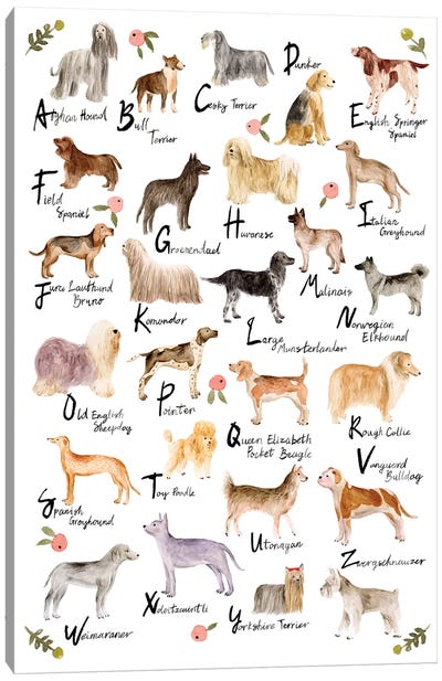 Dog Alphabet Canvas Art Print - Alphabet Art