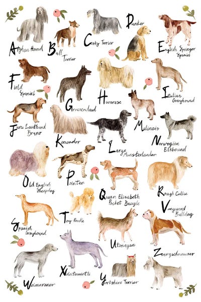 Kids Educational Art: Dog Alphabet by Melissa Wang