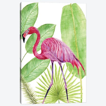Tropical Flamingo I Canvas Print #WNG119} by Melissa Wang Canvas Wall Art
