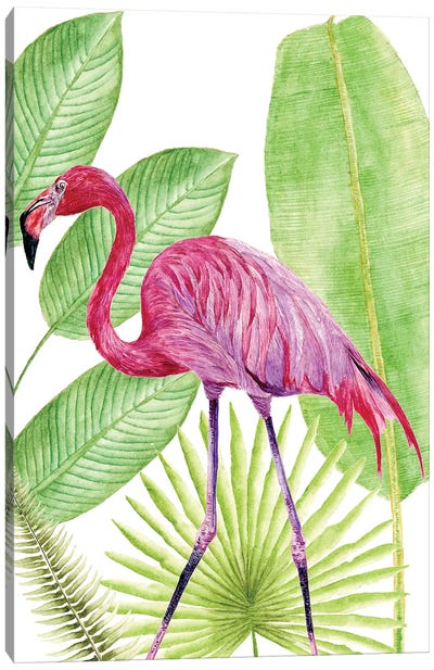 Tropical Flamingo I Canvas Art Print - Flamingo Art