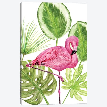 Tropical Flamingo II Canvas Print #WNG120} by Melissa Wang Art Print