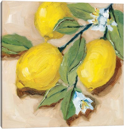 With the Sun II Canvas Art Print - Lemon & Lime Art