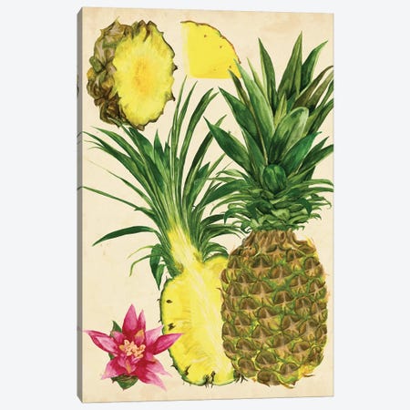 Tropical Pineapple Study II Canvas Print #WNG122} by Melissa Wang Art Print