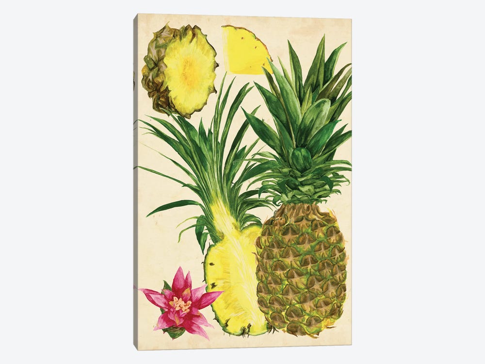Tropical Pineapple Study II by Melissa Wang 1-piece Canvas Wall Art
