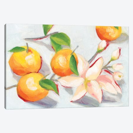 Tangerine Blossoms I Canvas Print #WNG1251} by Melissa Wang Canvas Art Print