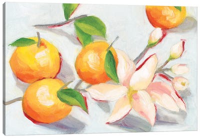 Tangerine Blossoms I Canvas Art Print - Mediterranean Décor