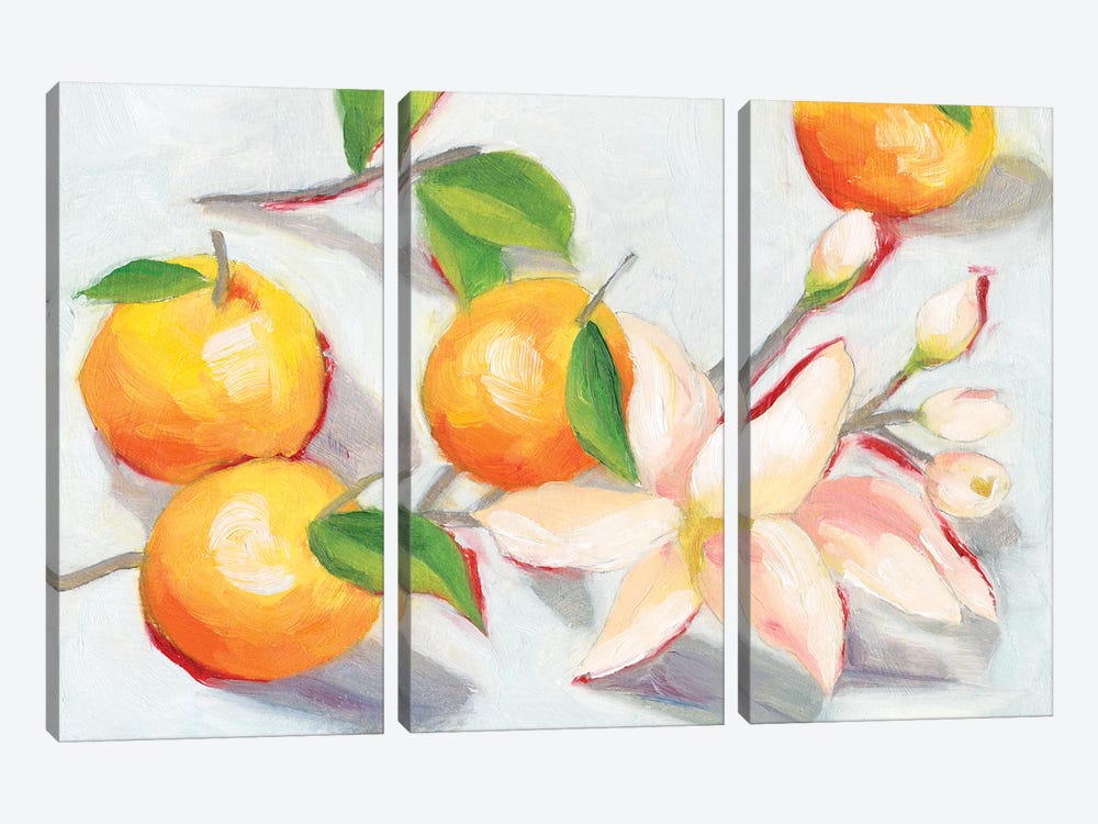 Tangerine Blossoms I by Melissa Wang 3-piece Canvas Wall Art