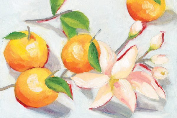 Mediterranean Décor: Tangerine Blossoms I by Melissa Wang