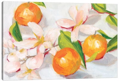 Tangerine Blossoms II Canvas Art Print - Fruit Art