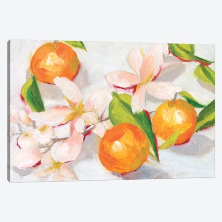 Tangerine Blossoms II Canvas Print #WNG1252} by Melissa Wang Art Print
