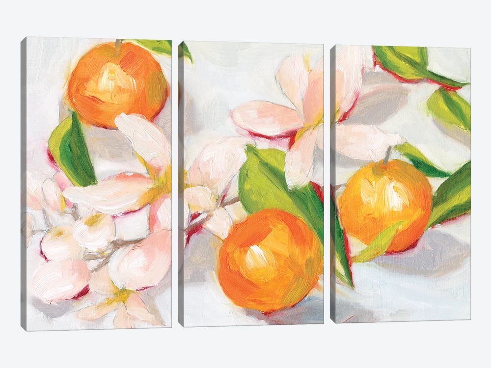 Tangerine Blossoms II by Melissa Wang 3-piece Canvas Print