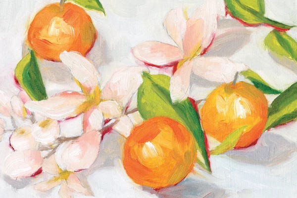 Mediterranean Décor: Tangerine Blossoms II by Melissa Wang