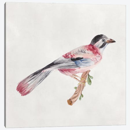 Bird Sketch I Canvas Print #WNG1296} by Melissa Wang Canvas Art