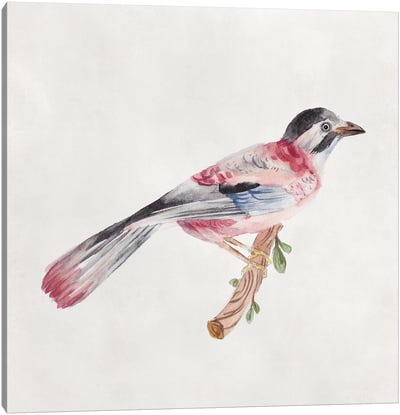 Bird Sketch I Canvas Art Print - Melissa Wang