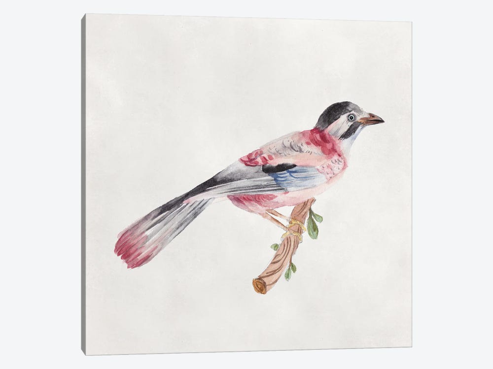 Bird Sketch I by Melissa Wang 1-piece Canvas Print