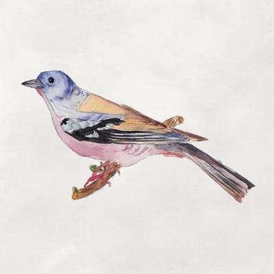 Bird Sketch II by Melissa Wang framed wall art