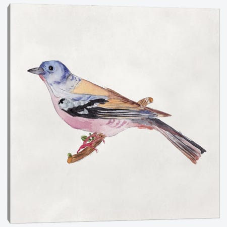 Bird Sketch II Canvas Print #WNG1297} by Melissa Wang Canvas Wall Art