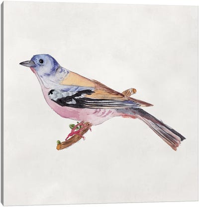 Bird Sketch II Canvas Art Print - Melissa Wang