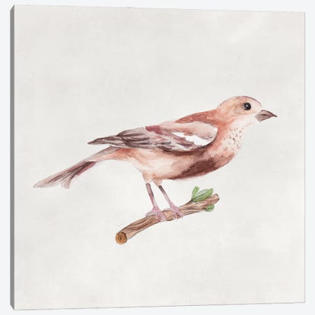 Bird Sketch IV Canvas Print #WNG1299} by Melissa Wang Canvas Art Print